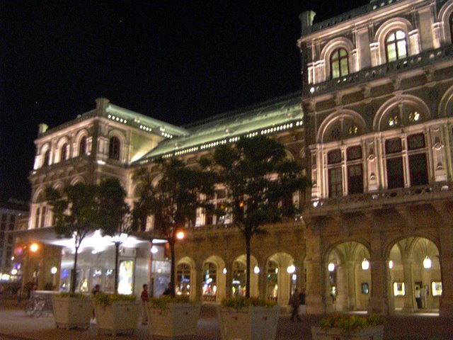 Vienna di notte