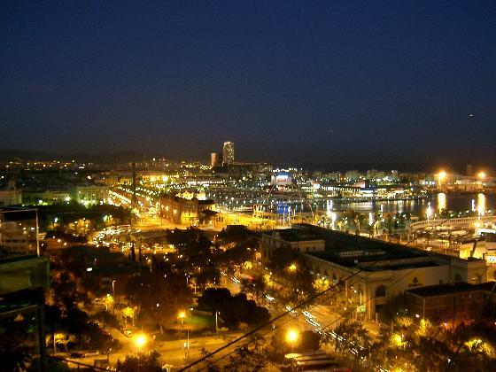 Vista su Barcellona di notte