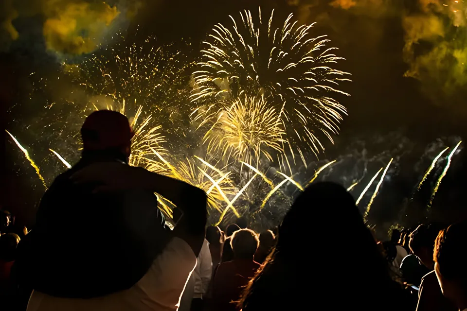 Visitatori di spalle davanti ai fuochi d’artificio del parco